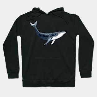 whale Hoodie